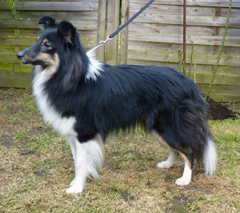 die Mutter, Eila Blacky vom Klingenteich