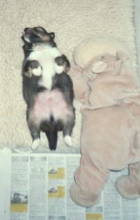 Entspannung ist ALLES !