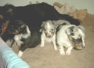 Mutter gibt die Sicherheit bei den Ausfl�gen