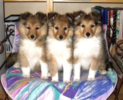 Das ist unserer letztes Gruppenbild  in der 'alten' Heimat  