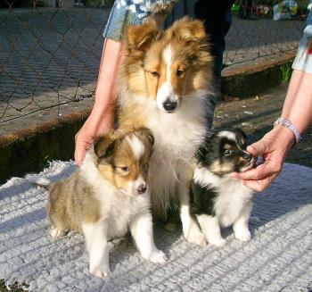 Gruppe mit Onkel Bowie